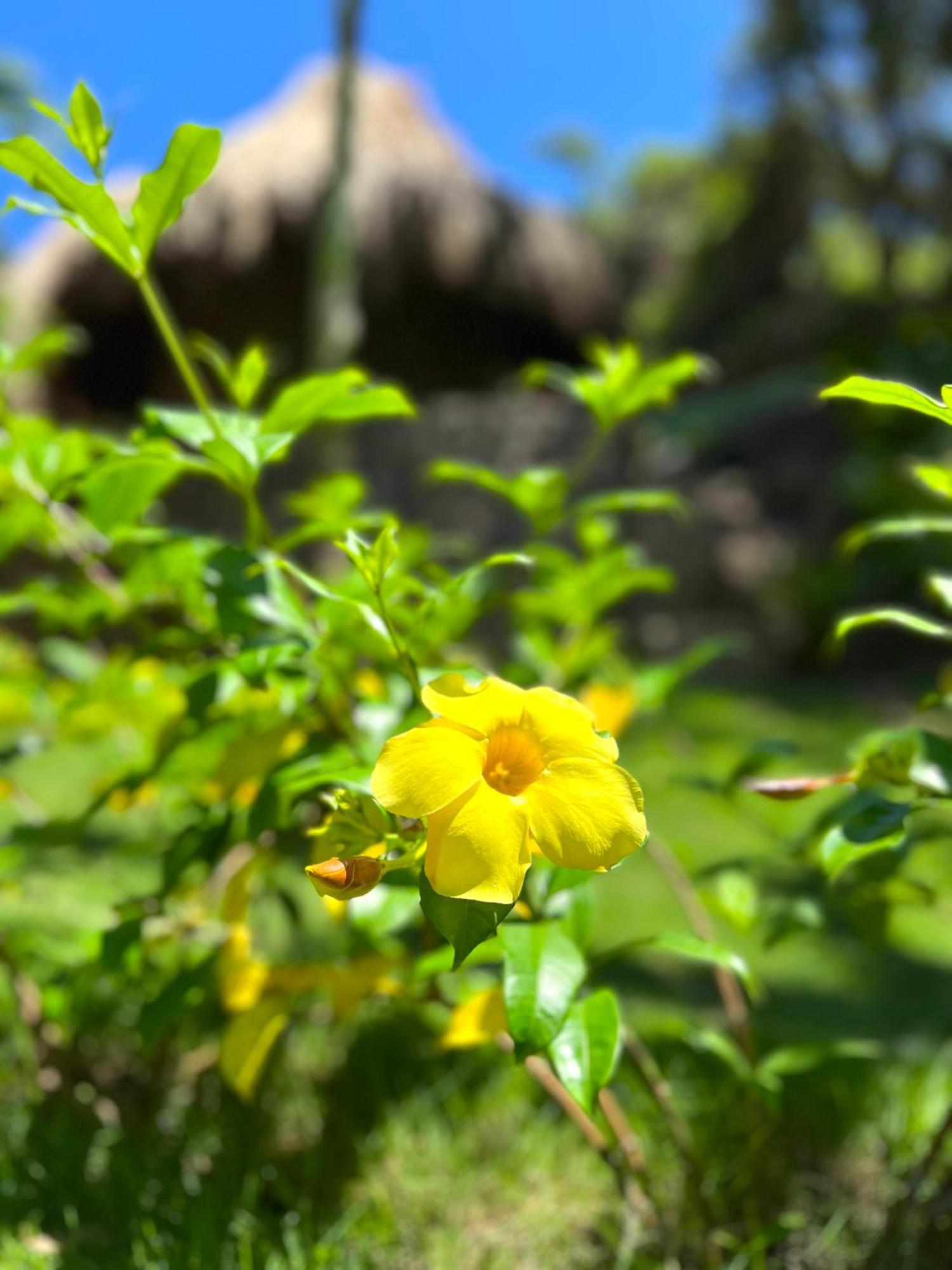 Zirwa Hotel Boutique - Dentro Del Parque Tayrona El Zaino Luaran gambar